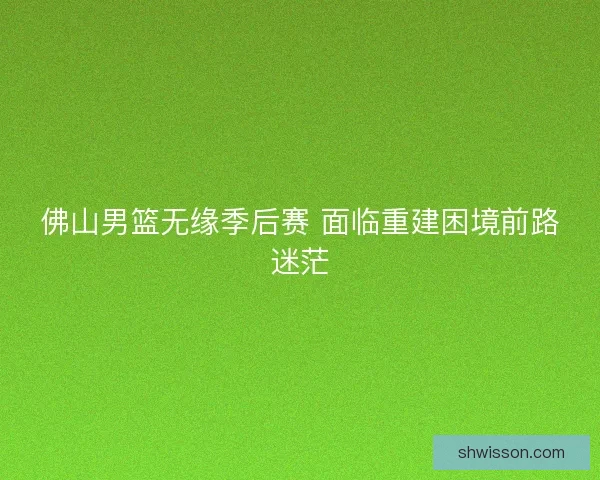 佛山男篮无缘季后赛 面临重建困境前路迷茫