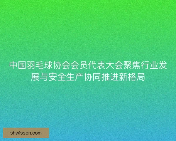 中国羽毛球协会会员代表大会聚焦行业发展与安全生产协同推进新格局